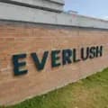 LG Air Solution | Everlush Factory