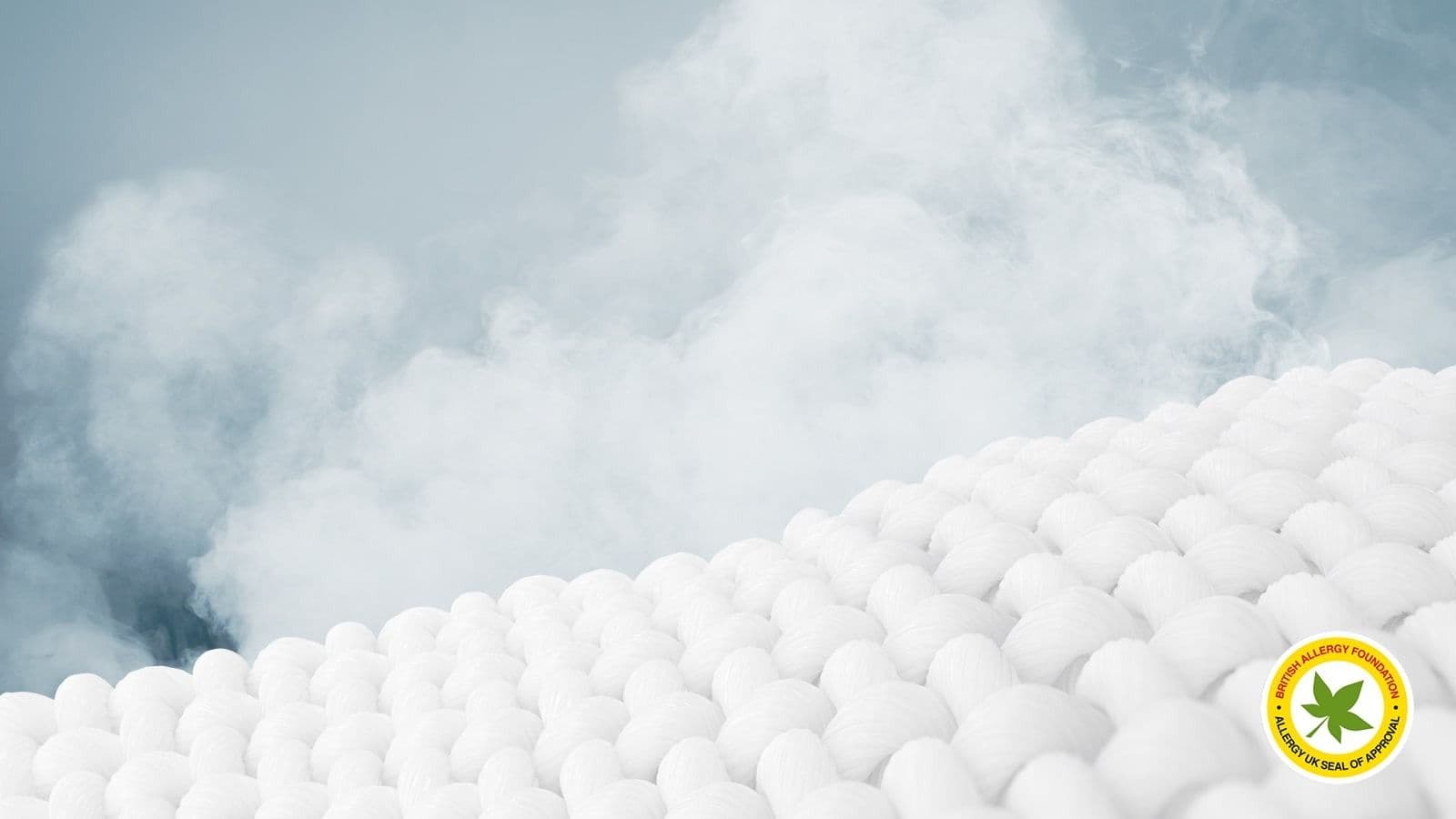 Removes stains, allergens and bacteria with steam