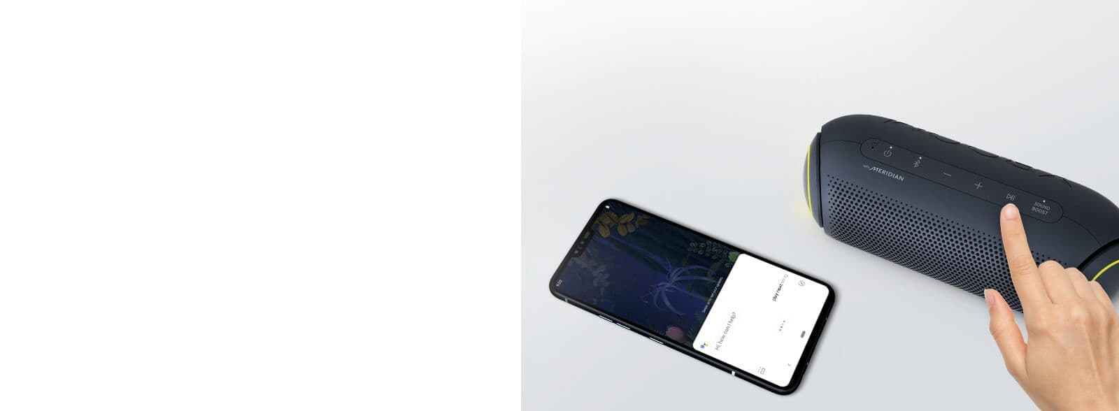 Convenient voice command