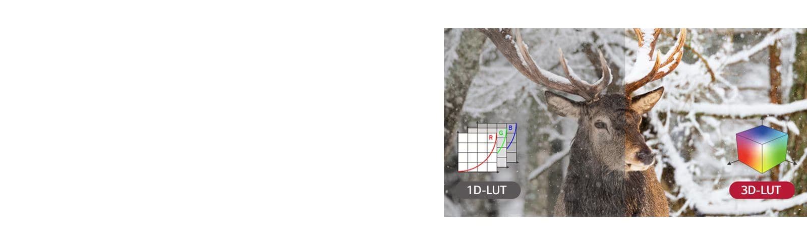 Custom 3D-LUT