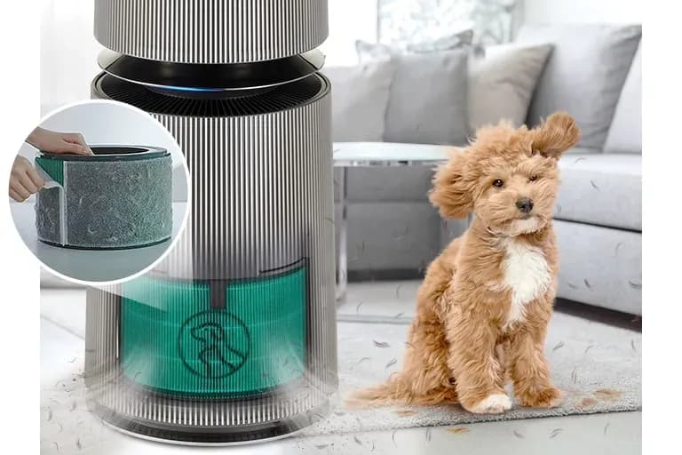 Better air quality. Less pet hair