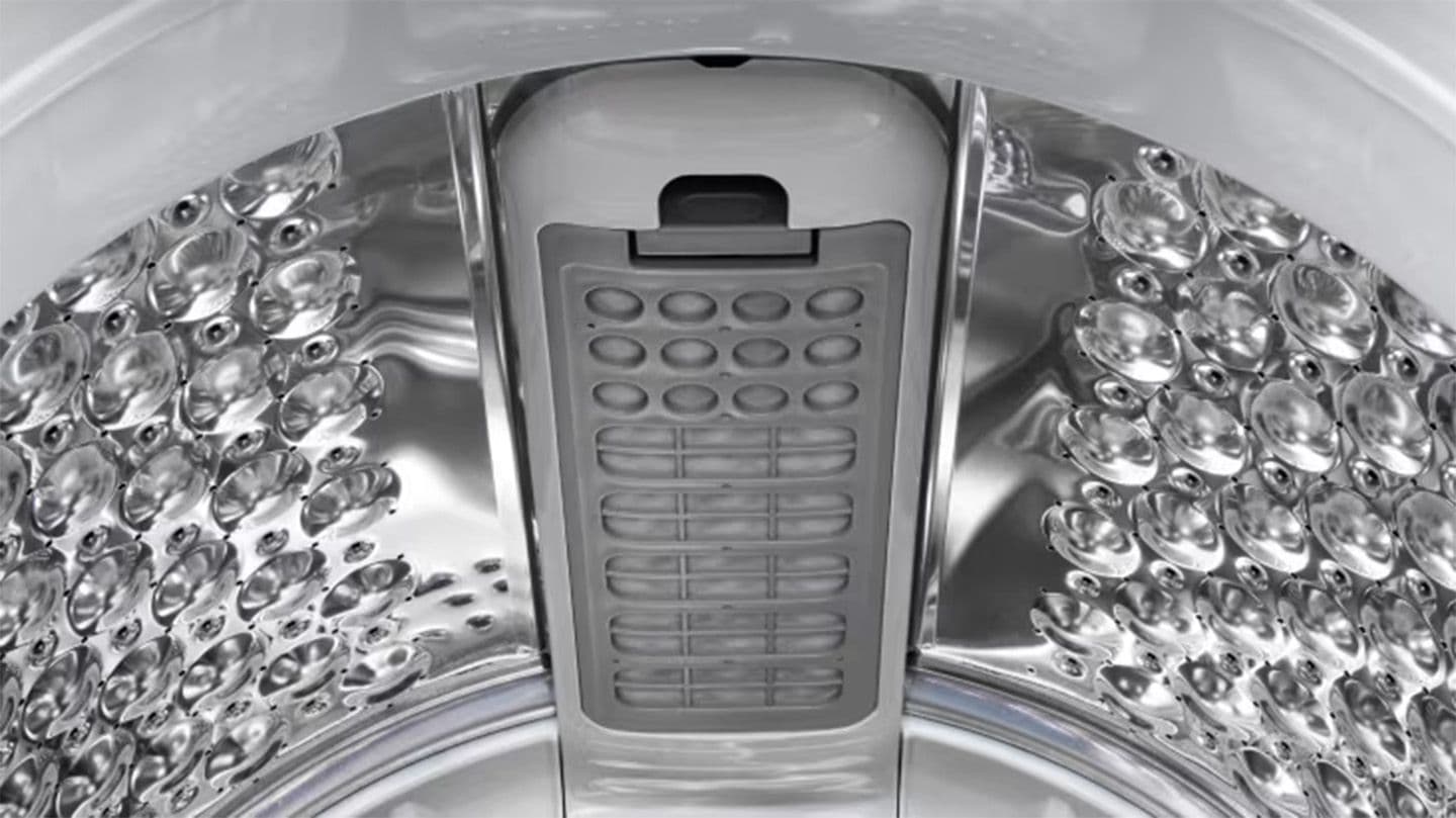 A Lint Filter Keeps the Tub and Your Clothes Clean